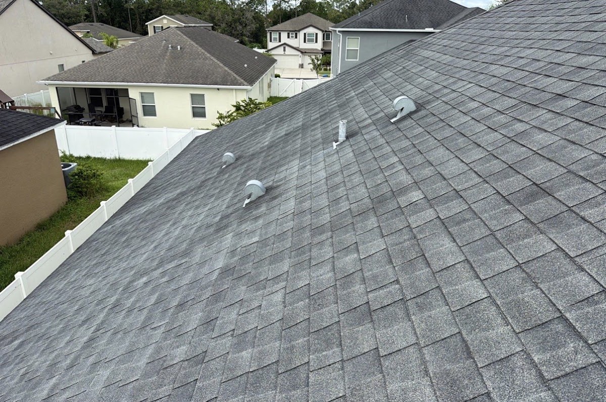 Shingle roof and neighboring homes in Tampa Bay