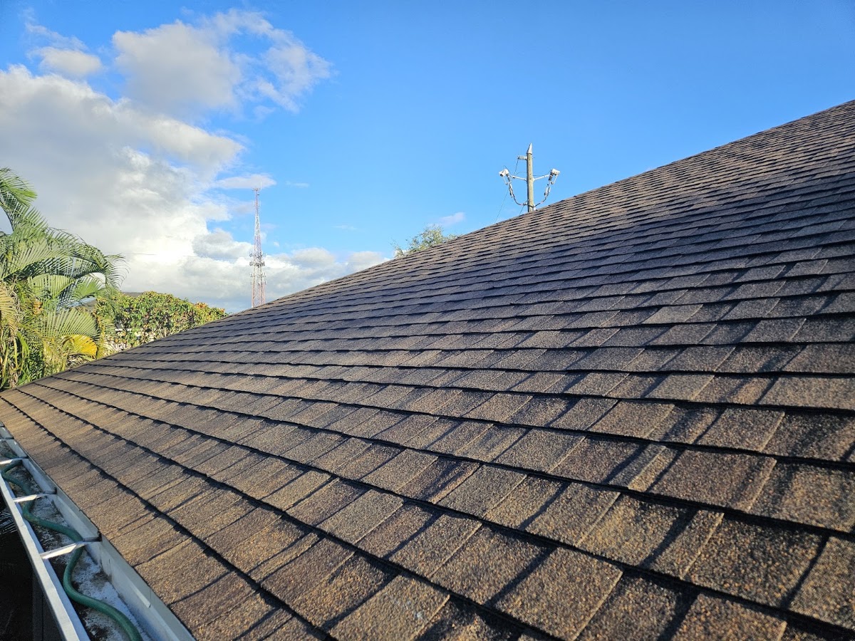 Shingle roof beneath an open sky